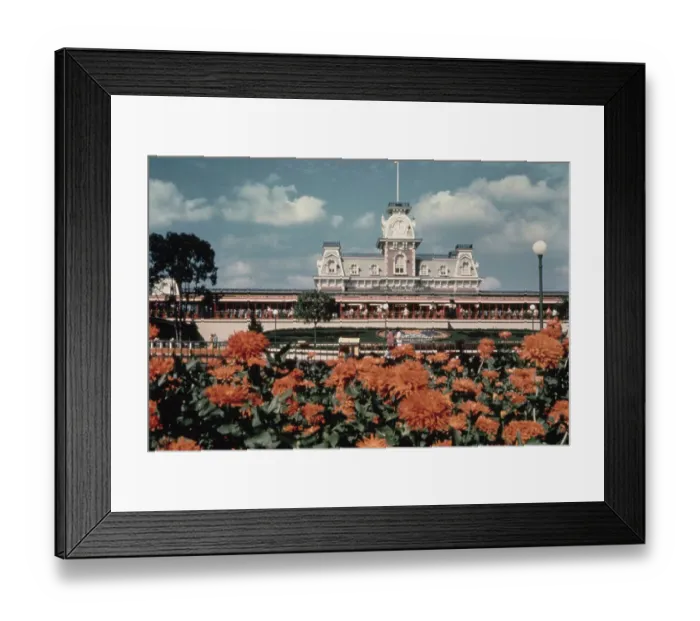 Framed Print : Disneyworld Framed Print : Disneyworld