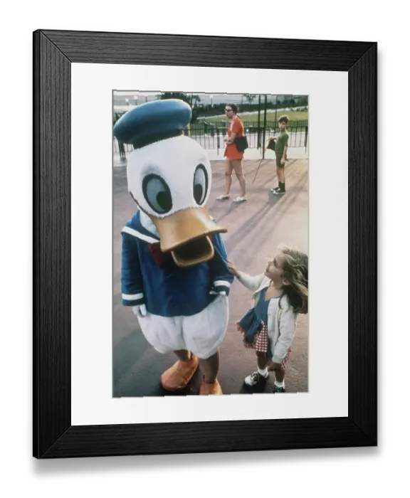 Framed Print : Disneyworld Framed Print : Disneyworld
