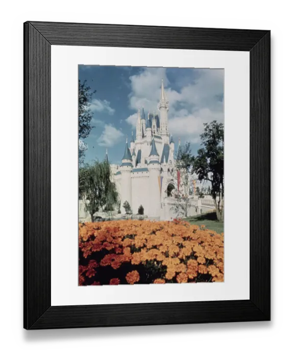 Framed Print : Disneyworld Framed Print : Disneyworld