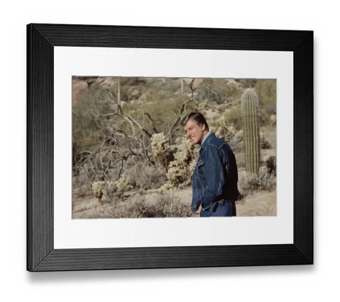 Framed Print : Dick Van Dyke, American Actor & Comedian Framed Print : Dick Van Dyke, American Actor & Comedian