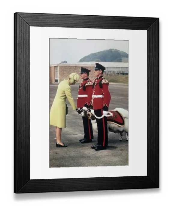 Framed Print : Princess Anne at the Battlesbury Barracks Framed Print : Princess Anne at the Battlesbury Barracks