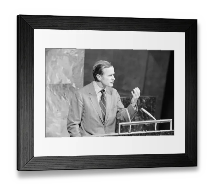 Framed Print : George Bush Addressing World Parliament Framed Print : George Bush Addressing World Parliament