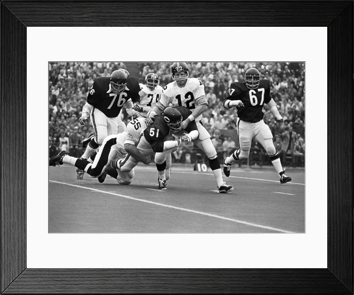 Framed Print : Linebacker Dick Butkus Tackled Framed Print : Linebacker Dick Butkus Tackled