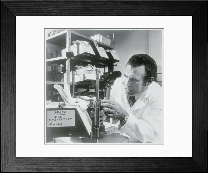 Framed Print : Man Observing Irritation on Rabbit's Eye Framed Print : Man Observing Irritation on Rabbit's Eye