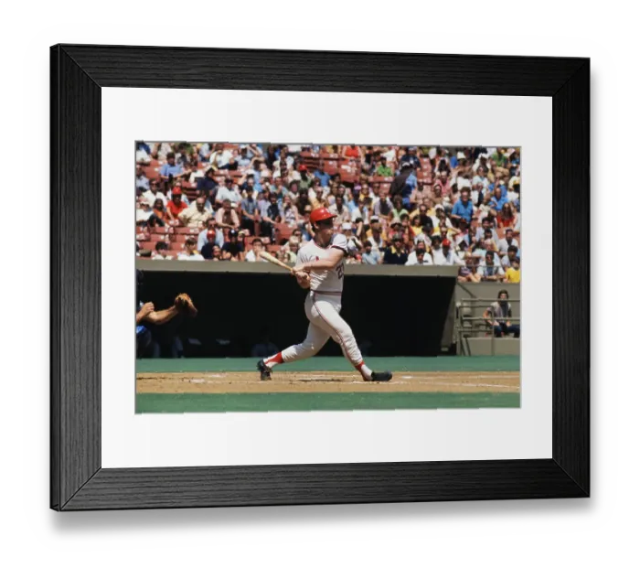 Framed Print : Ted Simmons Batting Framed Print : Ted Simmons Batting