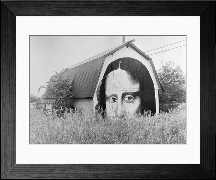Framed Print : Small Barn With Mona Lisa Painted on Side Framed Print : Small Barn With Mona Lisa Painted on Side