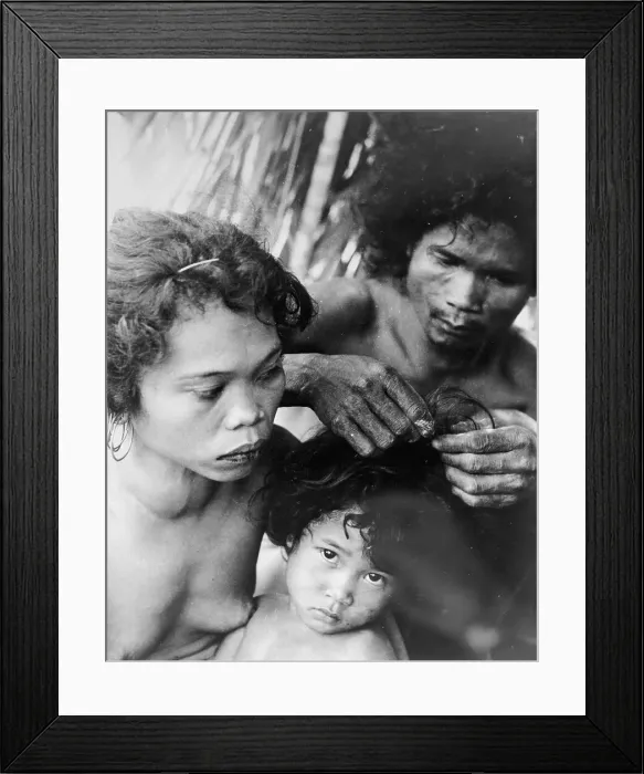 Framed Print : Parents Picking Lice Framed Print : Parents Picking Lice