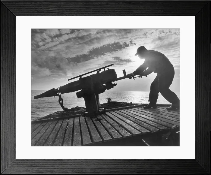 Framed Print : Whaler Aiming Harpoon Gun on Ship Framed Print : Whaler Aiming Harpoon Gun on Ship