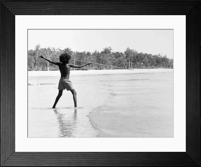 Framed Print : Aboriginal Fishing with Spear Framed Print : Aboriginal Fishing with Spear