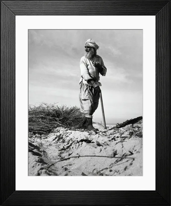 Framed Print : Farmer Works Arid Israeli Soil Framed Print : Farmer Works Arid Israeli Soil