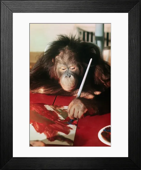 Framed Print : Orangutan Painting