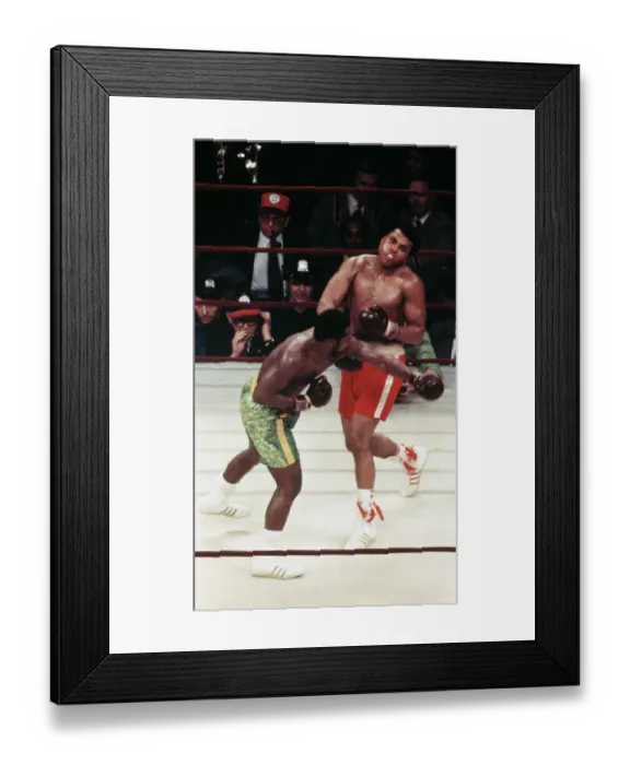 Framed Print : Frazier Sends Ali to the Canvas Framed Print : Frazier Sends Ali to the Canvas