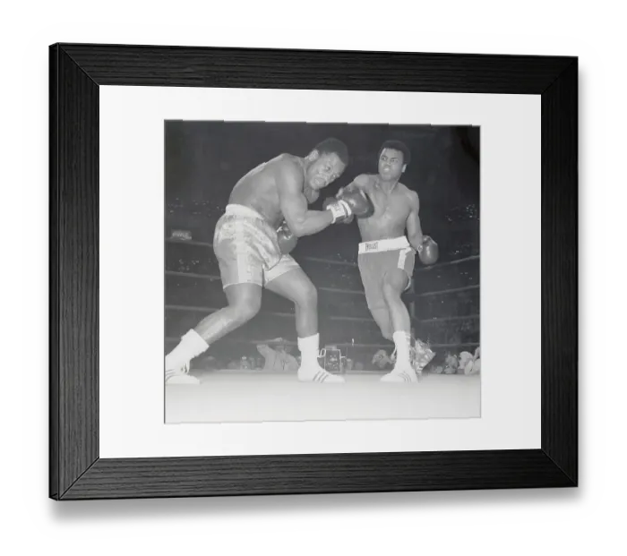 Framed Print : Muhammad Ali Attacking Joe Frazier Framed Print : Muhammad Ali Attacking Joe Frazier