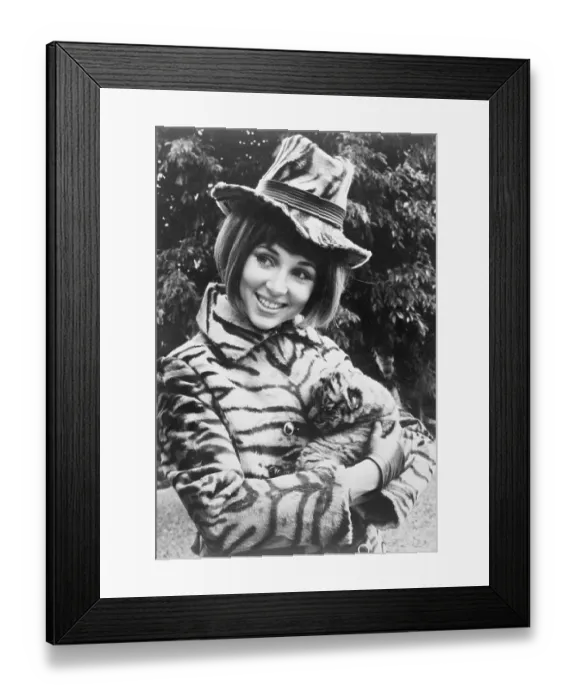 Framed Print : Airline Stewardess Holding Bengal Tiger Framed Print : Airline Stewardess Holding Bengal Tiger
