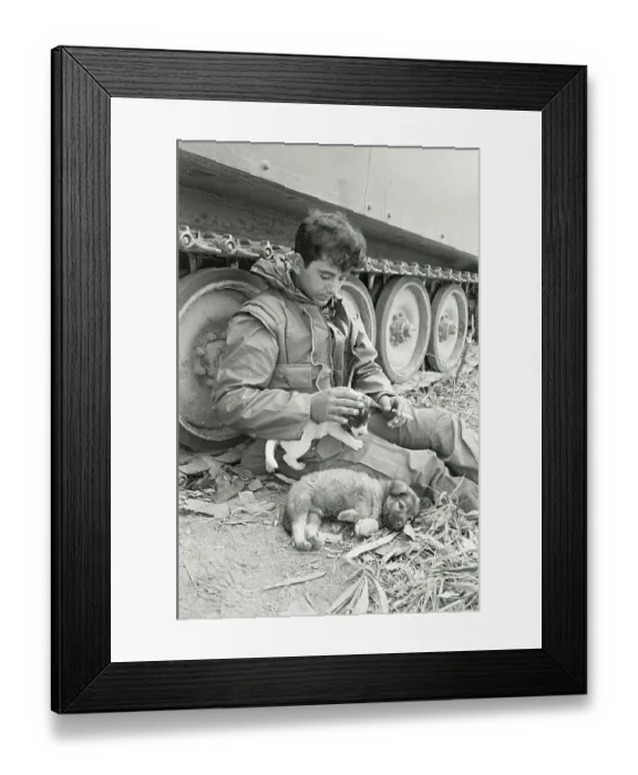 Framed Print : Vietnam Gi With Puppy Framed Print : Vietnam Gi With Puppy
