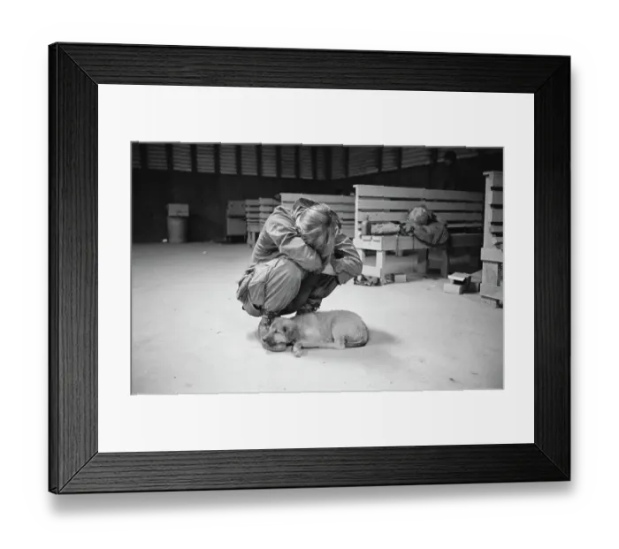 Framed Print : Soldier Leaning Over Puppy Framed Print : Soldier Leaning Over Puppy