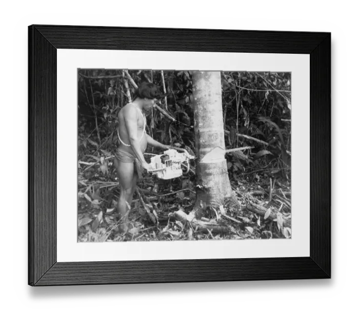 Framed Print : Brazilian Native with Chain Saw Framed Print : Brazilian Native with Chain Saw