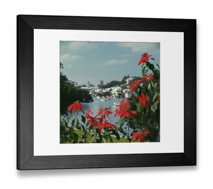 Framed Print : Hamilton, Bermuda Framed Print : Hamilton, Bermuda