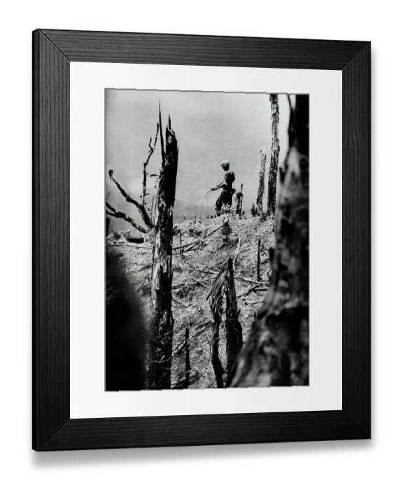 Framed Print : Pulitzer Prize Photo from Vietnam War Framed Print : Pulitzer Prize Photo from Vietnam War