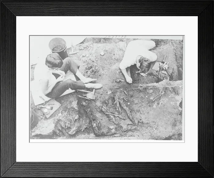 Framed Print : Volunteer Excavators with Ancient Tree Particles Framed Print : Volunteer Excavators with Ancient Tree Particles