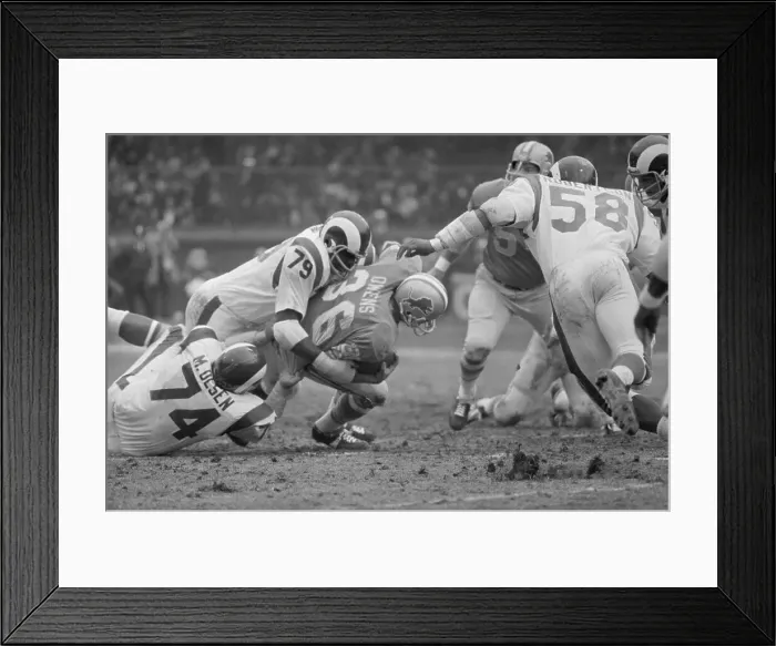 Framed Print : Merlin Olsen During Rams-Lions Game Framed Print : Merlin Olsen During Rams-Lions Game