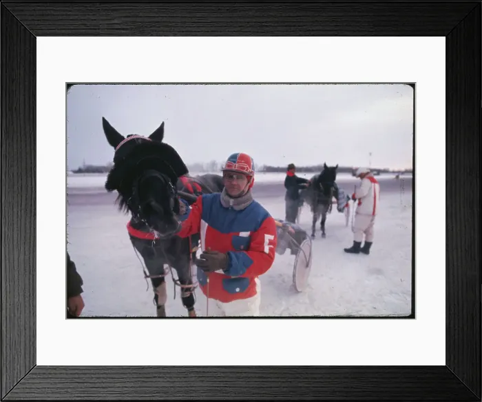 Framed Print : Harness Driver and Horse Framed Print : Harness Driver and Horse