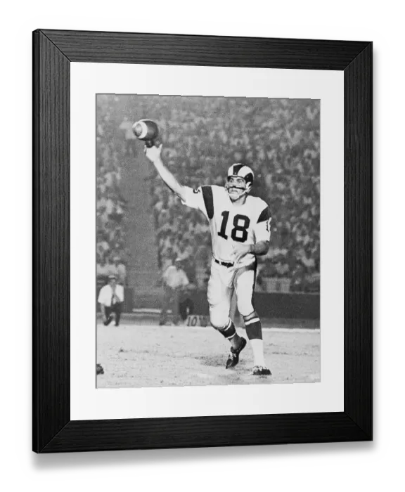 Framed Print : Qb Roman Gabriel Of La Rams Nov. 1970 Framed Print : Qb Roman Gabriel Of La Rams Nov. 1970