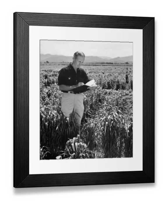 Framed Print : Dr. Ernest Borlaug Nobel Prize Winner