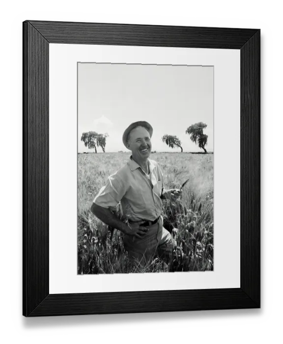 Framed Print : Norman Borlaug Framed Print : Norman Borlaug