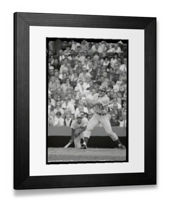 Framed Print : Pete Rose Batting in World Series Framed Print : Pete Rose Batting in World Series