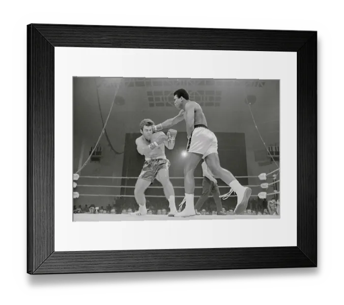 Framed Print : Cassius Clay Punching Jerry Quarry During Boxing Match Framed Print : Cassius Clay Punching Jerry Quarry During Boxing Match