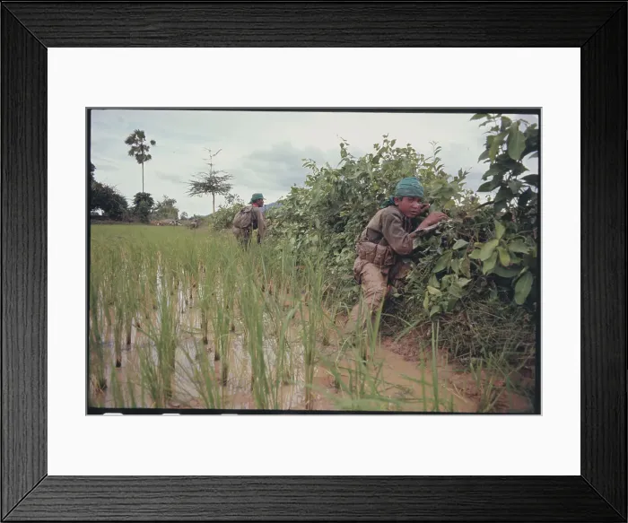 Framed Print : Soldiers in Rice Paddy Framed Print : Soldiers in Rice Paddy