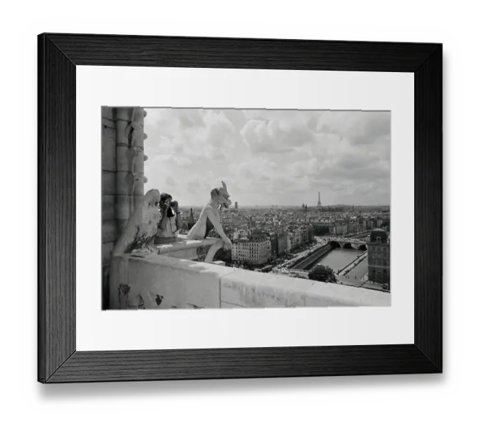 Framed Print : View of Paris From the Top of Notre Dame Framed Print : View of Paris From the Top of Notre Dame