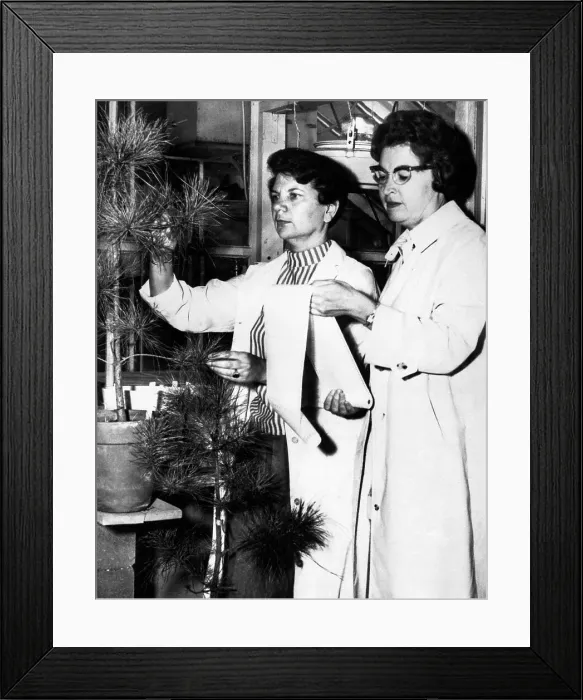 Framed Print : Air Pollution Specialists Framed Print : Air Pollution Specialists