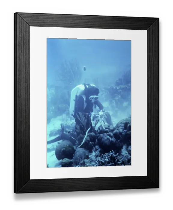 Framed Print : Living Under the Sea in Tektite 2 Framed Print : Living Under the Sea in Tektite 2