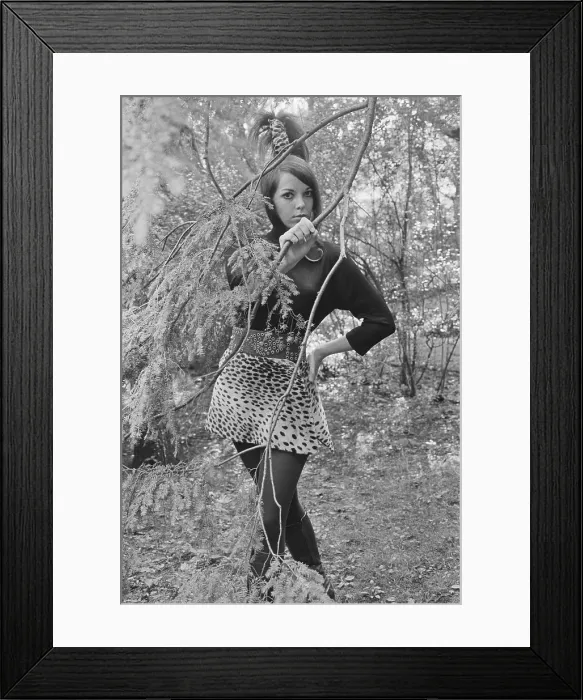 Framed Print : Model Wearing Cheetah Miniskirt Framed Print : Model Wearing Cheetah Miniskirt