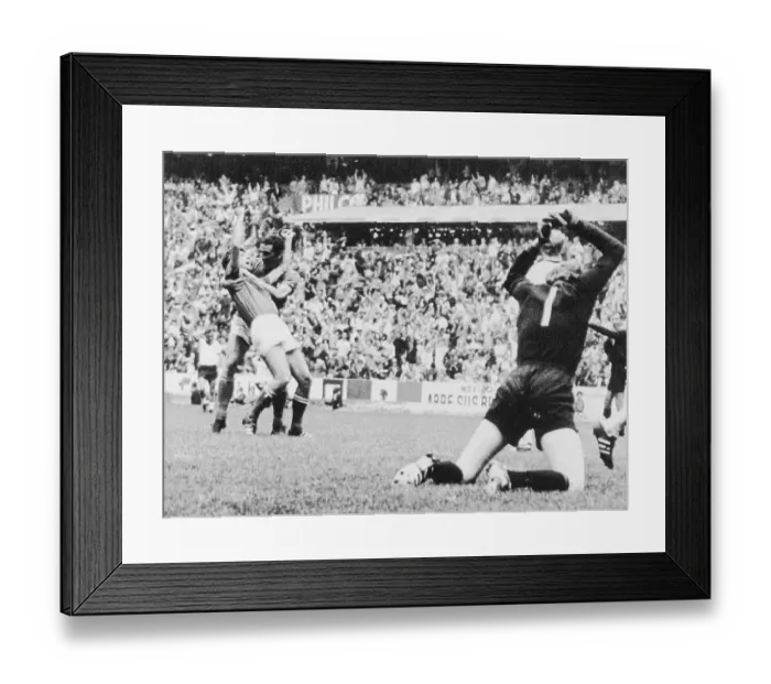 Framed Print : Teammates Celebrating While Goalie Exhibits Anger Framed Print : Teammates Celebrating While Goalie Exhibits Anger
