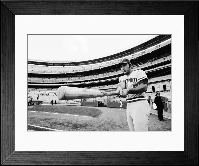Framed Print : Johnny Bench Swinging Bat Framed Print : Johnny Bench Swinging Bat