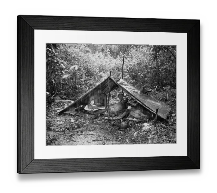 Framed Print : Vietnam War Scenes Framed Print : Vietnam War Scenes