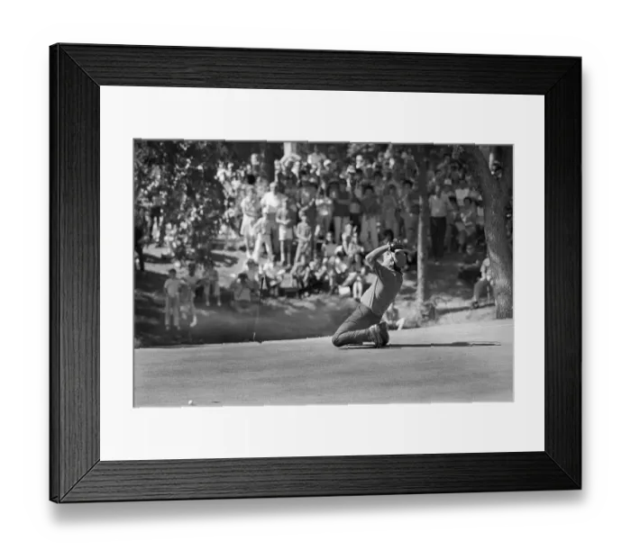 Framed Print : Lee Trevino Drops To His Knees Framed Print : Lee Trevino Drops To His Knees