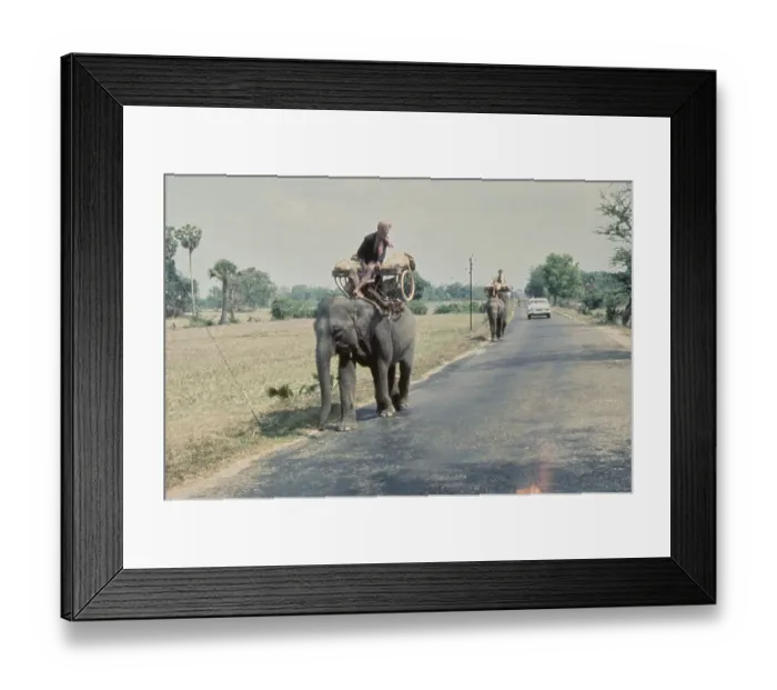 Framed Print : Sa Ang, Vietnam War Framed Print : Sa Ang, Vietnam War