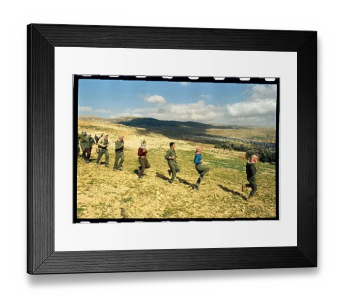Framed Print : Military Recruits Exercising