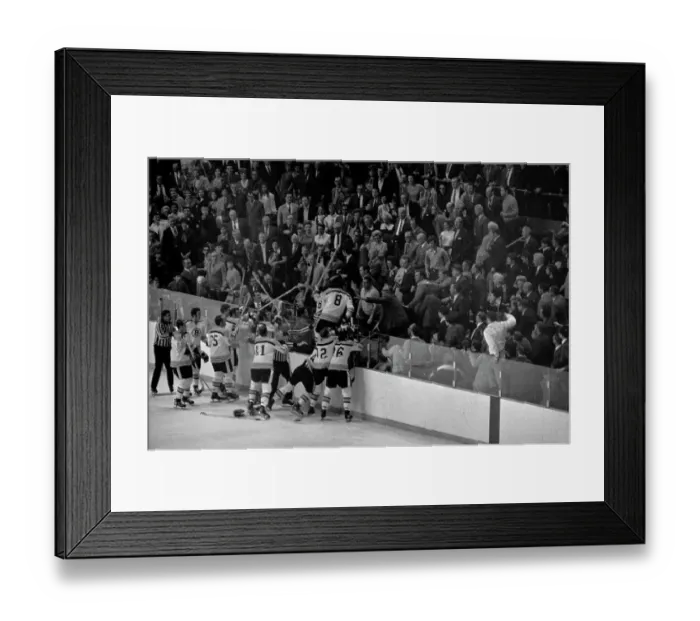 Framed Print : Bruins Vs Blues Ice Hockey Fight Framed Print : Bruins Vs Blues Ice Hockey Fight