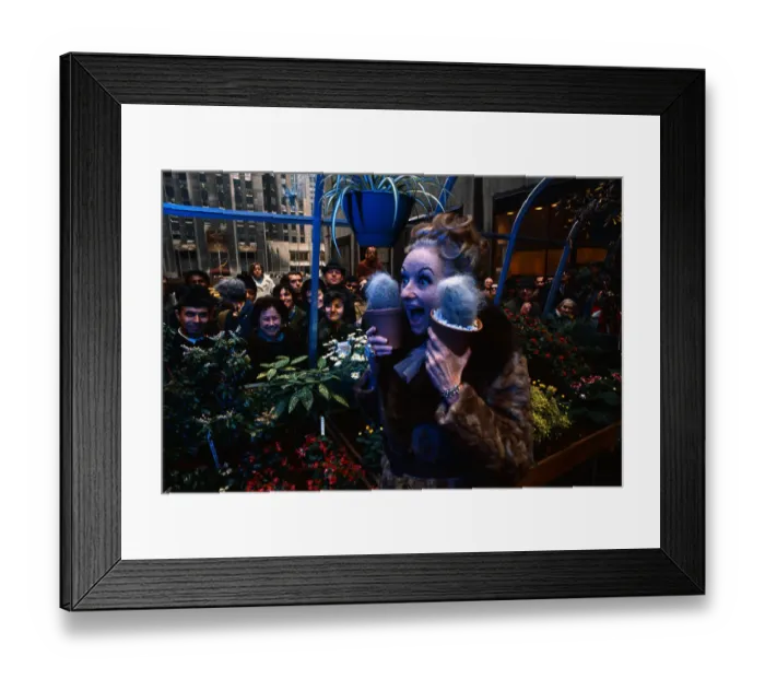 Framed Print : Phyllis Diller Holding up Cacti Framed Print : Phyllis Diller Holding up Cacti