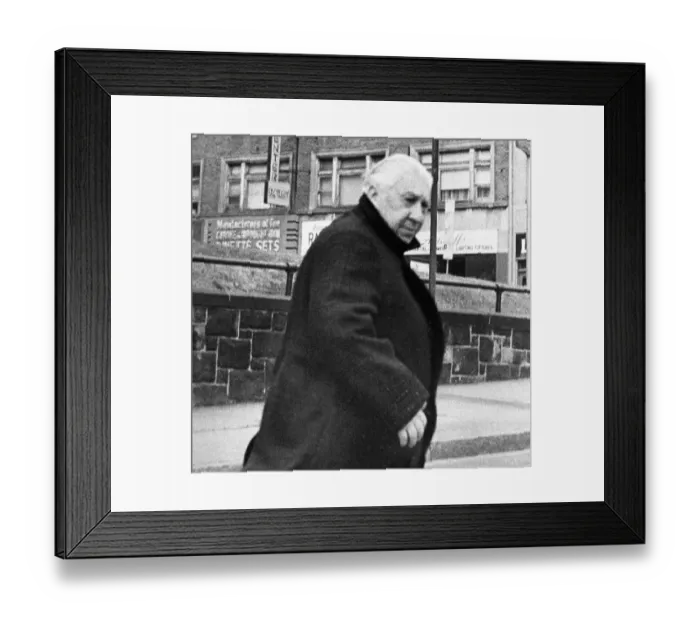 Framed Print : Angelo (Gyp) DeCarlo Framed Print : Angelo (Gyp) DeCarlo