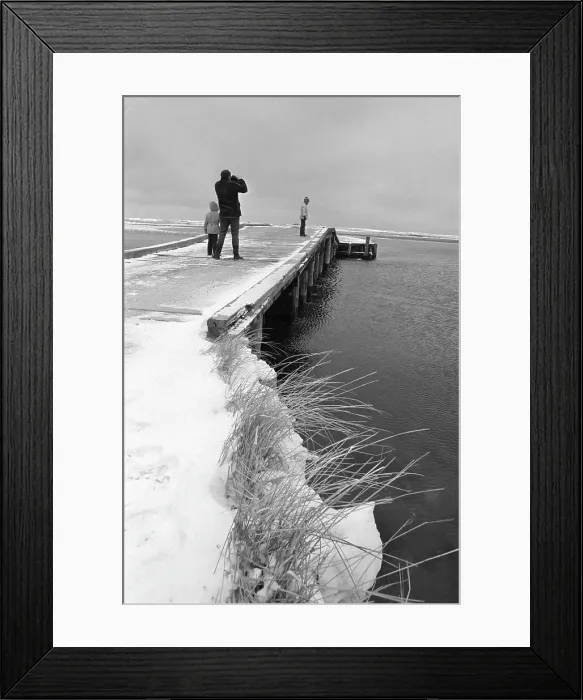Framed Print : Visitors At Chappaquiddick Island Framed Print : Visitors At Chappaquiddick Island