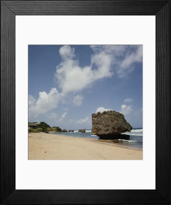 Framed Print : Barbados Beach Framed Print : Barbados Beach