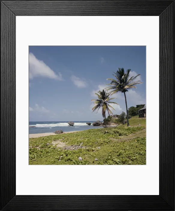 Framed Print : Barbados Beach Framed Print : Barbados Beach