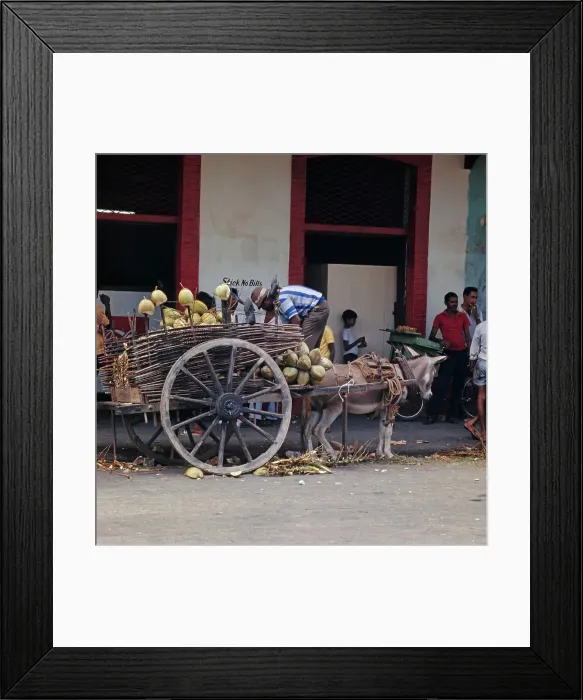 Framed Print : Port of Spain, Trinidad Framed Print : Port of Spain, Trinidad