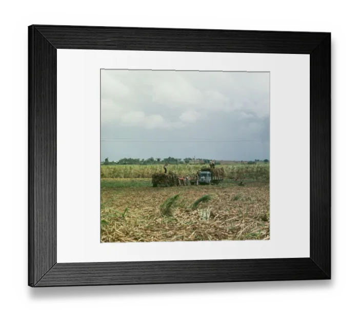 Framed Print : Basse-Terre, Guadeloupe Framed Print : Basse-Terre, Guadeloupe
